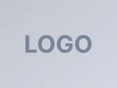 Logo Asset