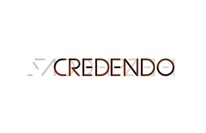 Logo Asset