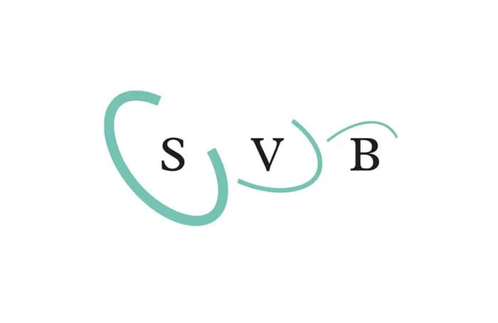 Logo Asset
