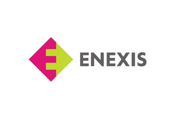 Logo Asset