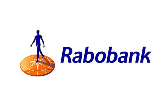 Logo Asset