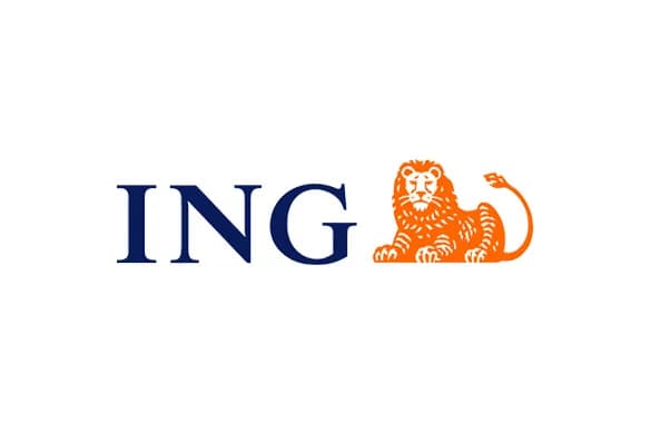 Logo Asset